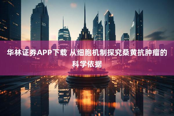 华林证券APP下载 从细胞机制探究桑黄抗肿瘤的科学依据