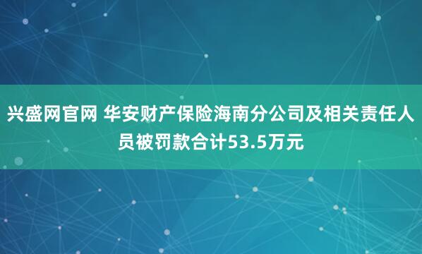 兴盛网官网 华安财产保险海南分公司及相关责任人员被罚款合计53.5万元