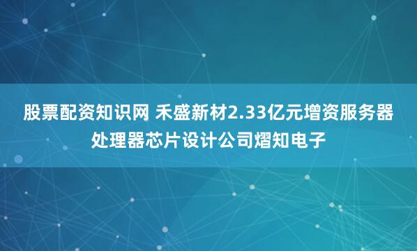 股票配资知识网 禾盛新材2.33亿元增资服务器处理器芯片设计公司熠知电子